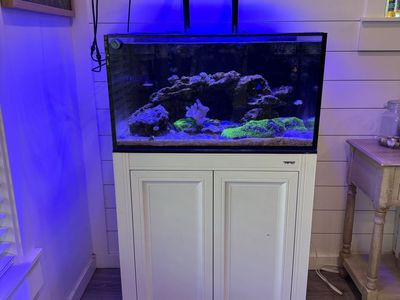 50 gallon fish tank