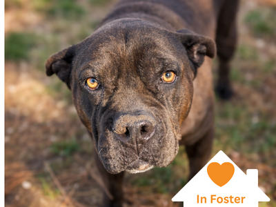 Hello my name is Babe