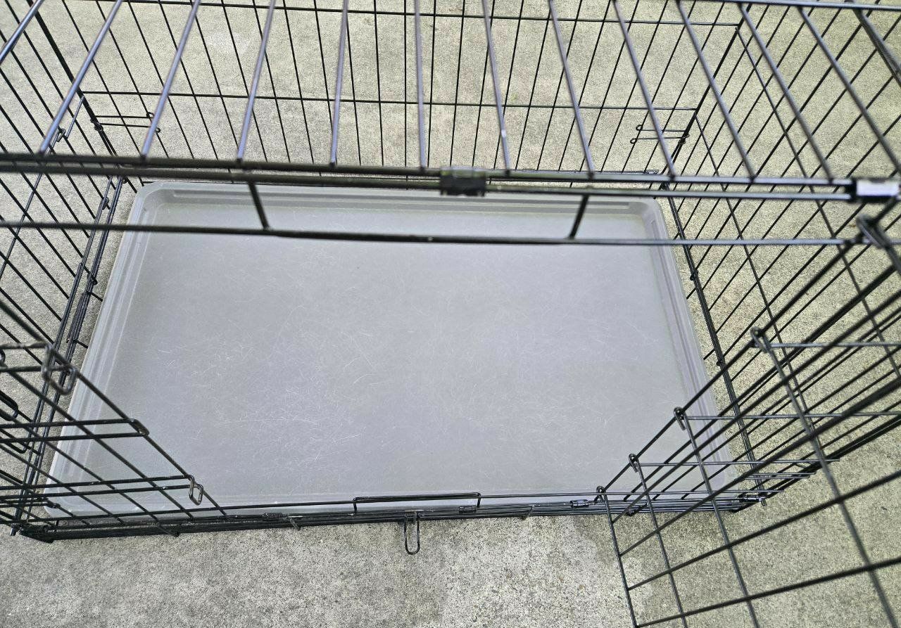 Main image 6