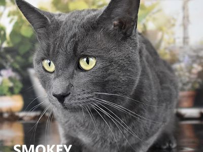 Hello my name is Heathcliff