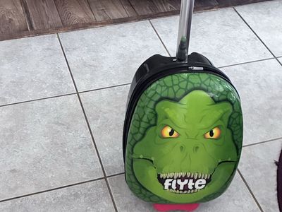 scooter suit case