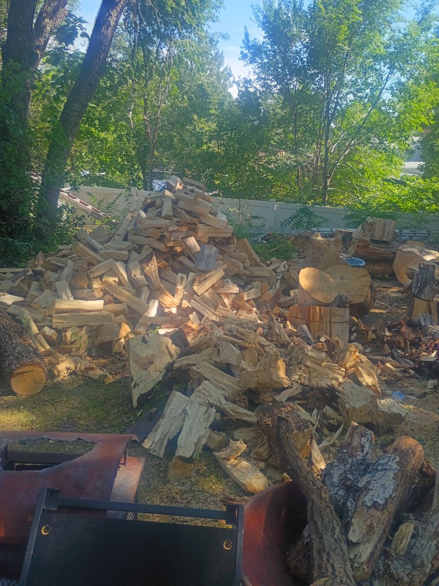 Firewood poplar Softwood for Heating & Campfires