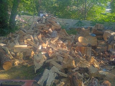 Firewood poplar Softwood for Heating & Campfires