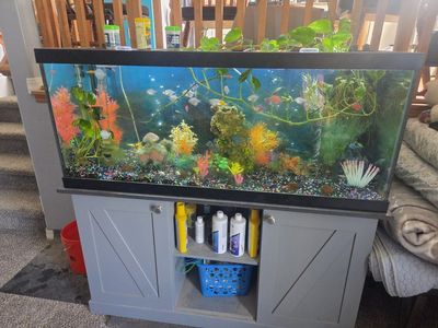75 gallon Large Glass Fish Aquarium Tank with Matching Gray Storage Stand and Accessories