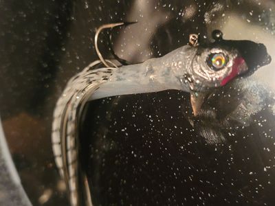 5" tubes for flaming gorge, fish lake Lakers