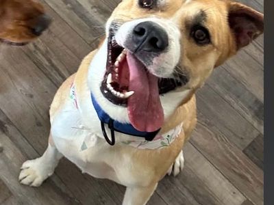 Pit mix