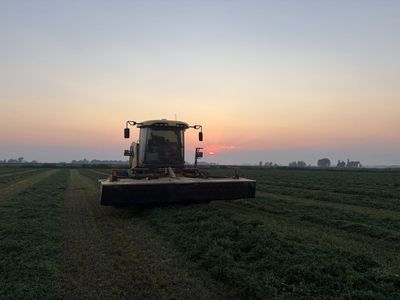 21 bundle alfalfa bales (delivered)
