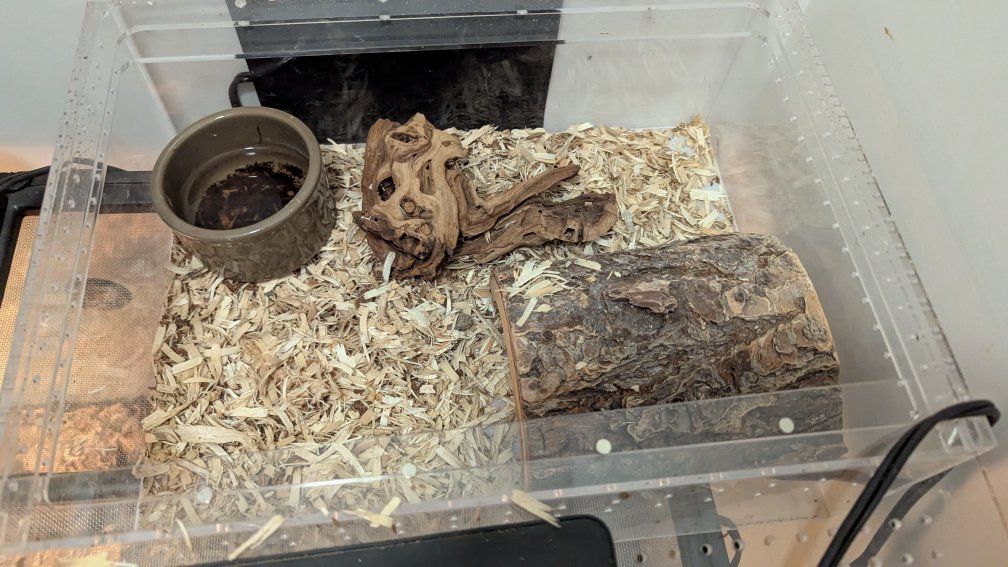 Main image 3