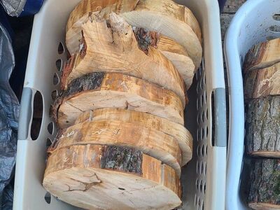 Silver Maple Rounds $15 each