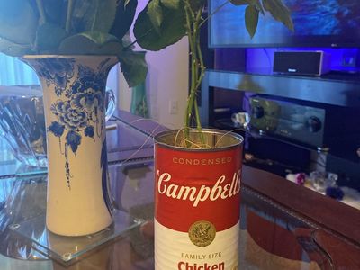 Unique Campbell's Chicken Noodle Soup Can Planter with Rose plant