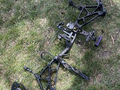 Bear Arena 34 compound bow