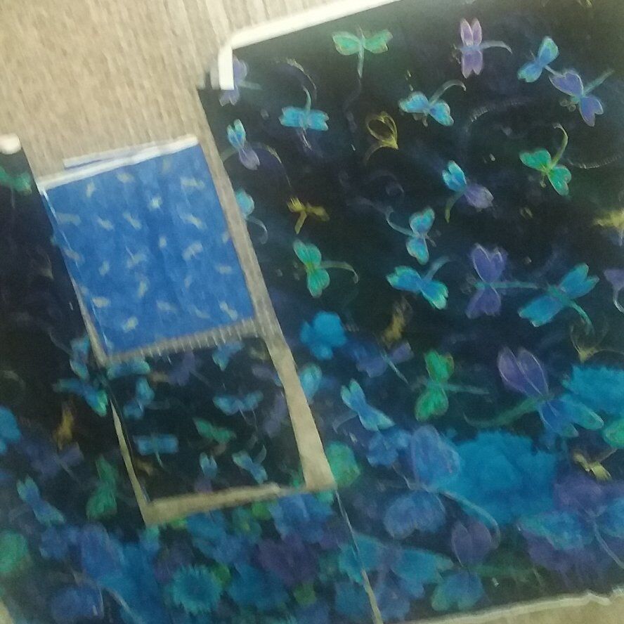 2 PANELS...3 COORDINATING FABRICS...FLY BY NIGHT