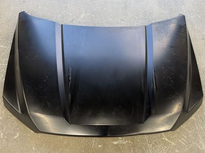 2015-2020 Ford F-150 Hood