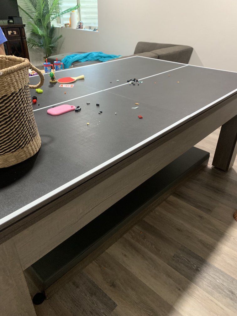 ping pong / pool table
