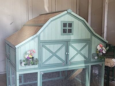 Spring Chicken coop for some lucky chicks
