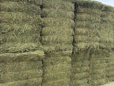 Alfalfa Bales
