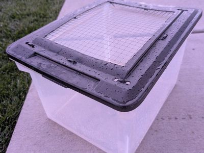 Mealworm habitat + wheat bran