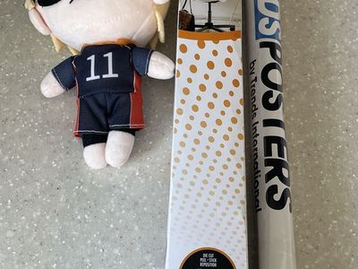 Haikyuu Bundle ( Poster, Plush, Wall Decal)