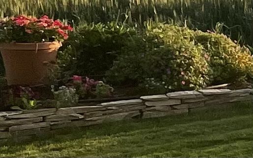 Beautiful Landscape Rock