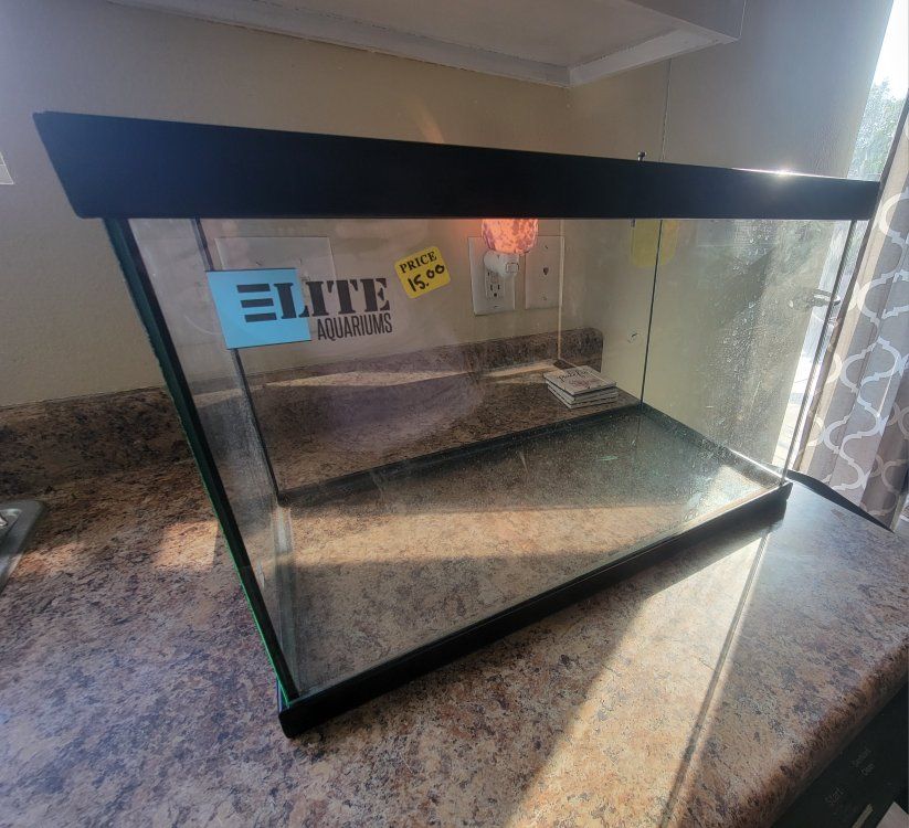 10 Gallon Tank