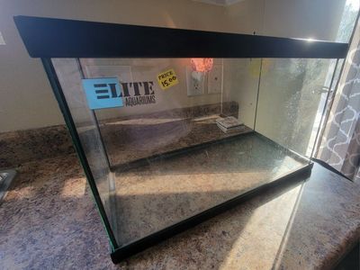 10 Gallon Tank