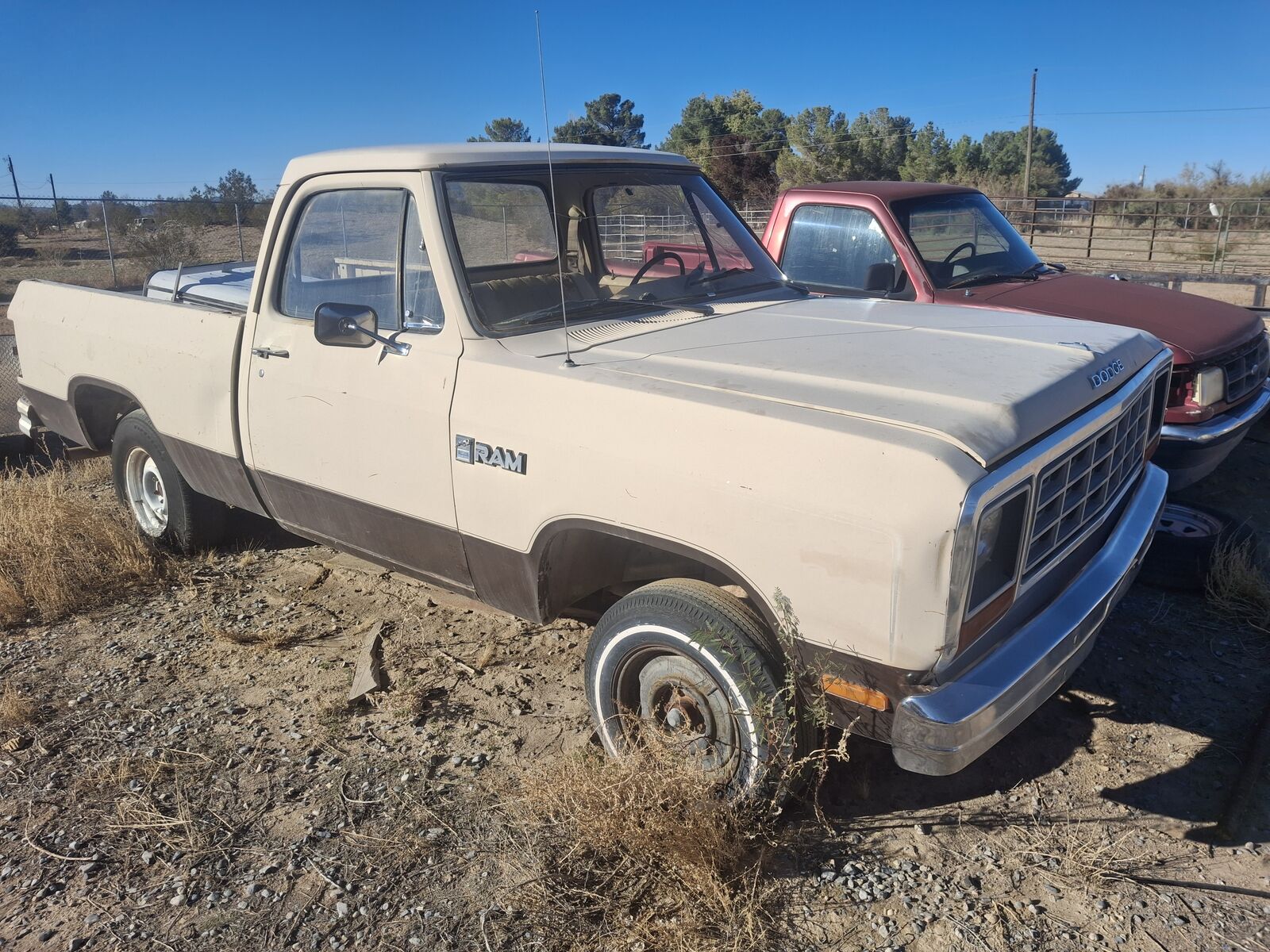 A PAIR OFRUST FREE DODGE SHORTBED TRUCKS,