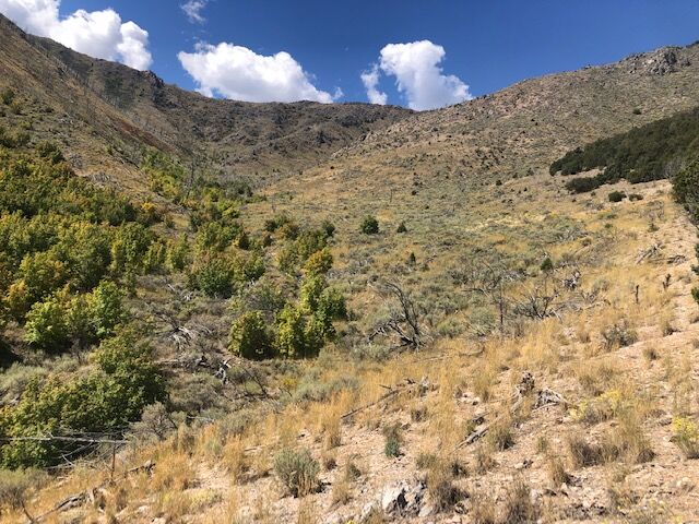 Eureka / Pre-Spring Sale / 60 Acres / Secluded