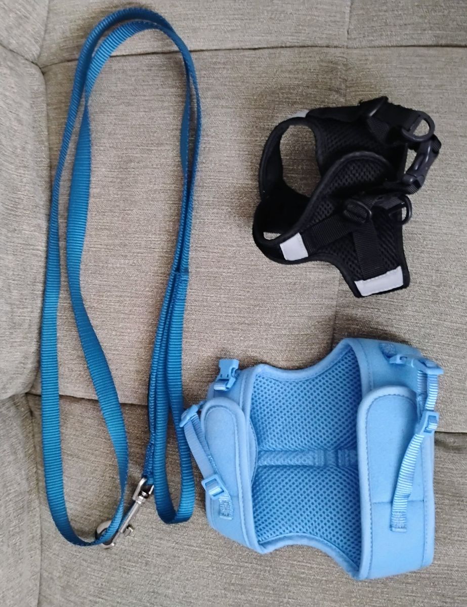 Dog Harnesses & Leash Set - Blue & Black, Adjustable Mesh for Small Pets
