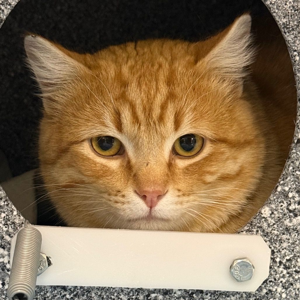 Hello my name is Hubie