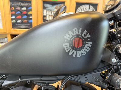 Harley-Davidson 2022 Iron 883