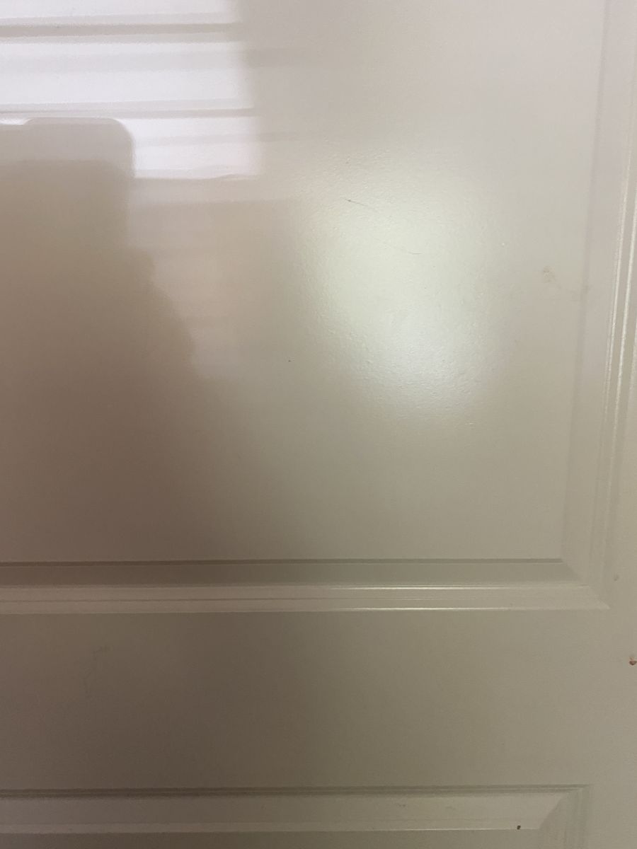 Main image 4