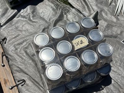 Canning Jars