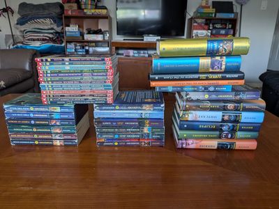Various Warriors books series by Erin Hunter