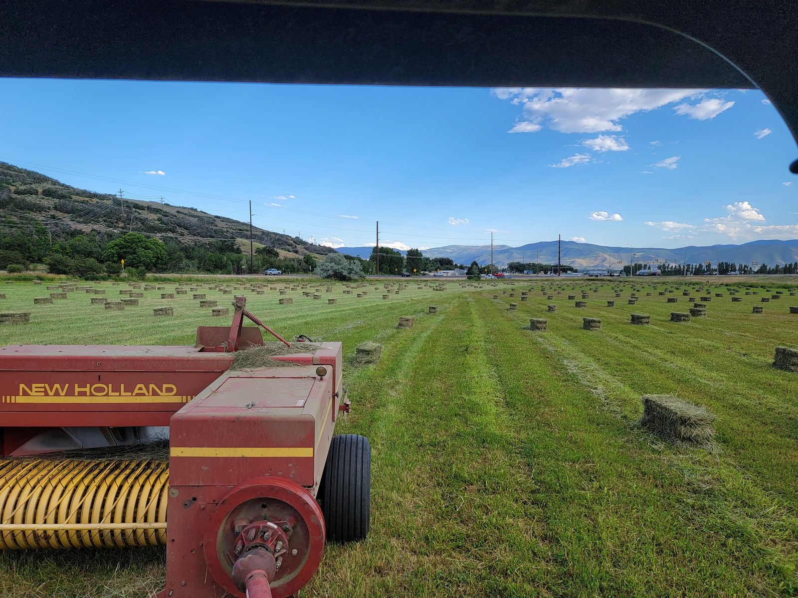 Grass Hay Small Bales