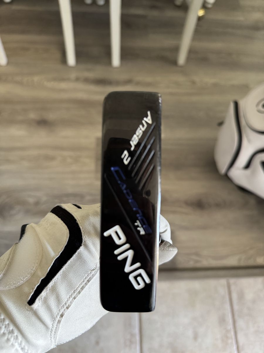 Ping Anser 2
