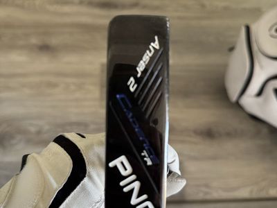 Ping Anser 2