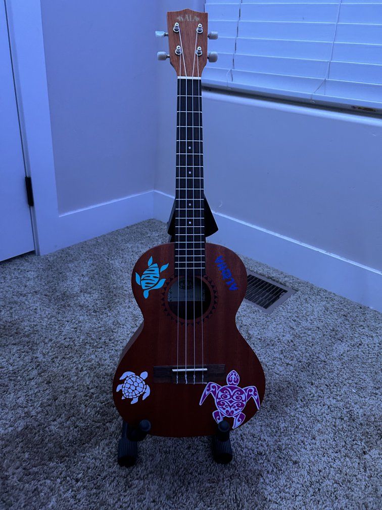Kala Soprano Ukulele - Dark Brown with Turtle Decals, Beginner-Friendly