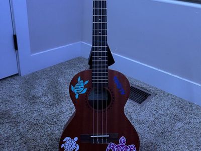 Kala Soprano Ukulele - Dark Brown with Turtle Decals, Beginner-Friendly