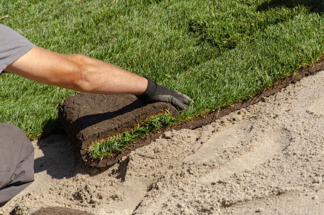 Lawn Renovation/ Yard Renovation