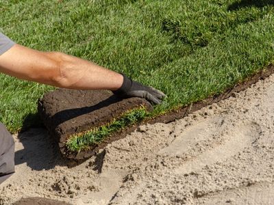 Lawn Renovation/ Yard Renovation