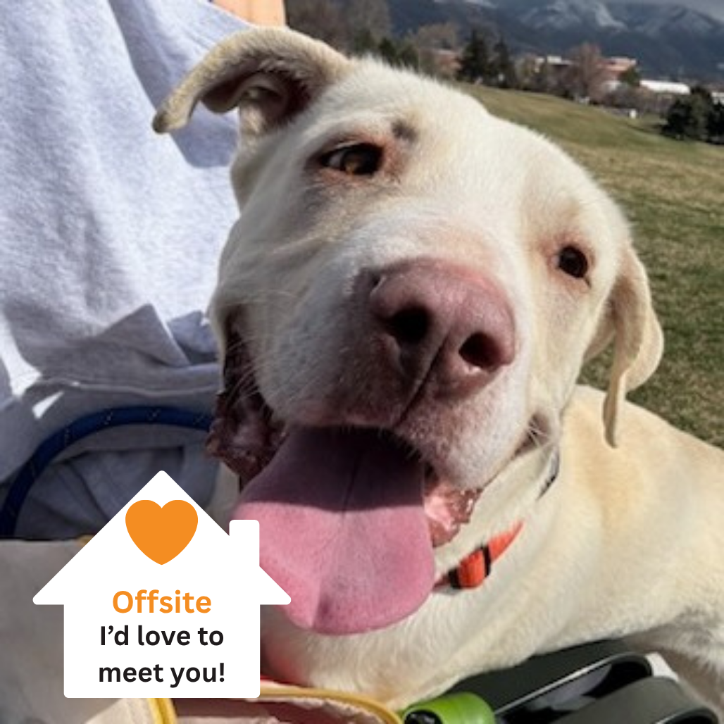 Hello my name is Daryl