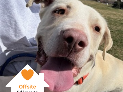 Hello my name is Daryl