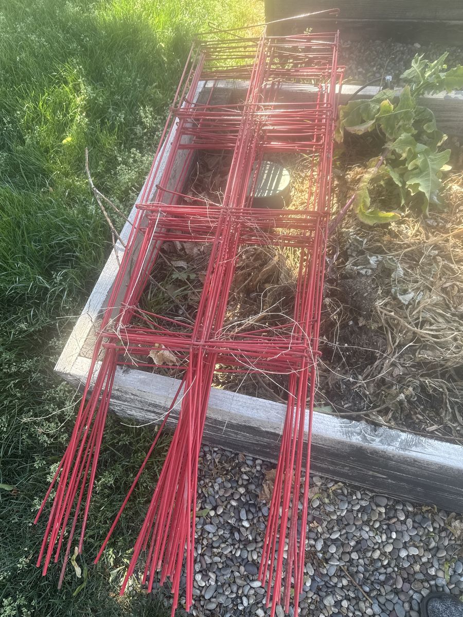 Freeeeeee Red Garden Tomato Cages - Set of 5, Durable Plant Supports for Your Garden