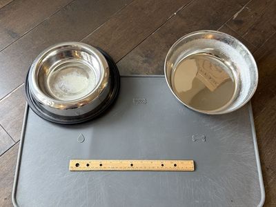 Dog Food & Water Bowls And Floor Pad