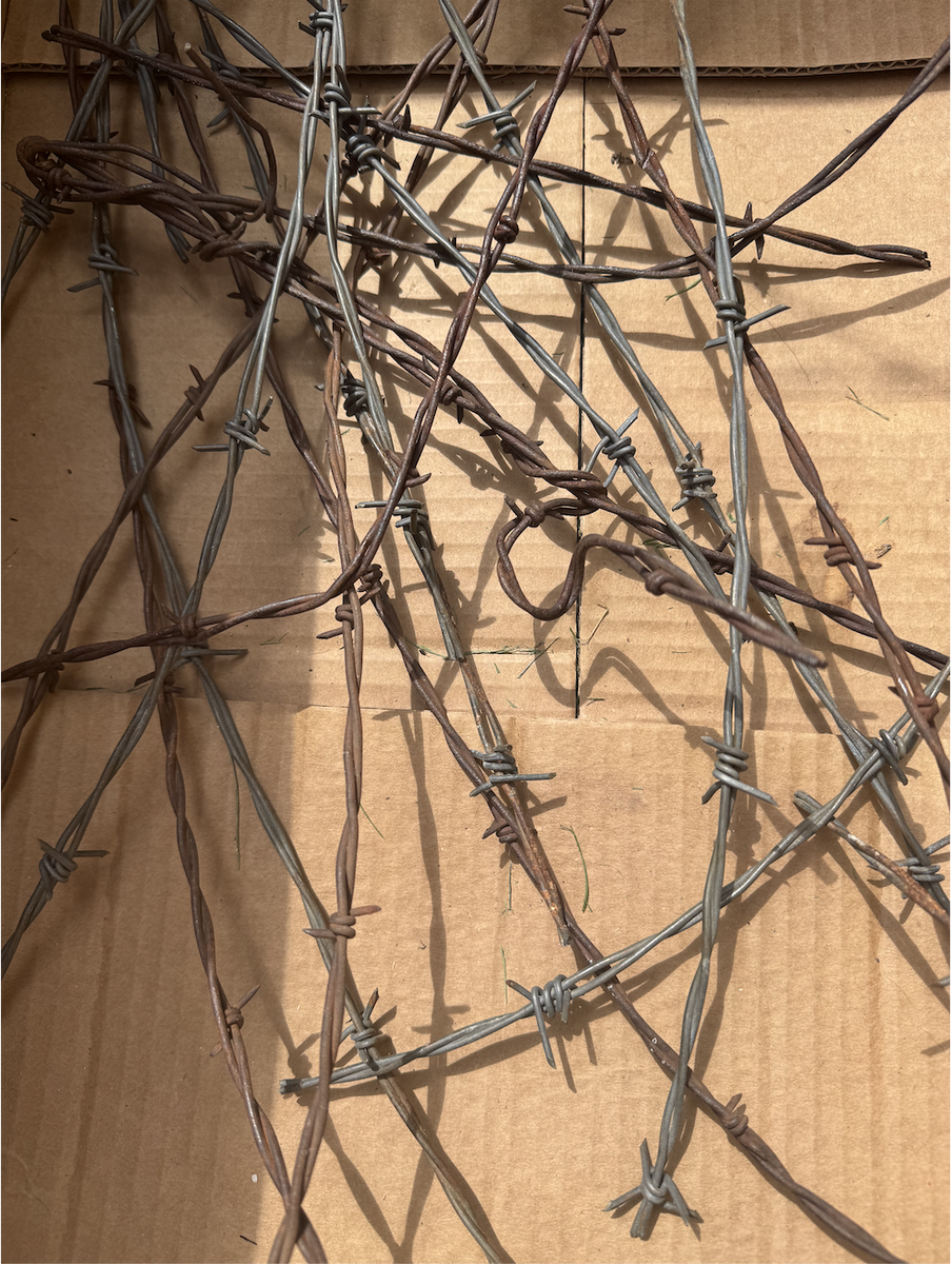 Barbed Wire Free