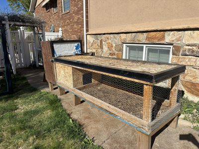 Chicken Coop With Automatic Door