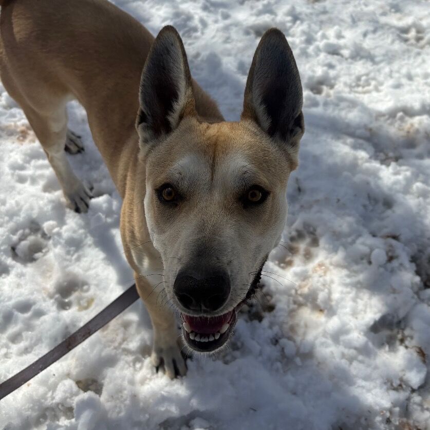 Hello my name is Florence