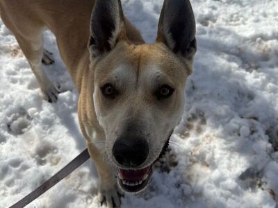 Hello my name is Florence