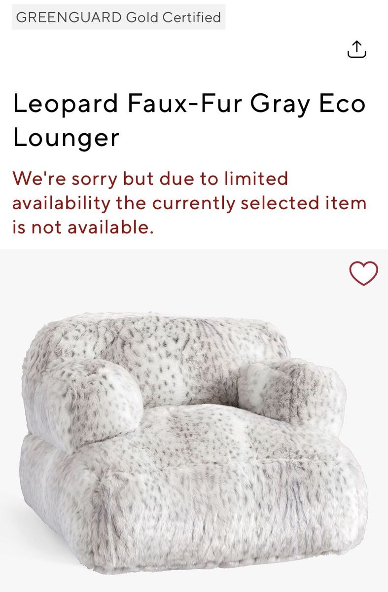 PB TEEN LOUNGER BeanBag CHAIR