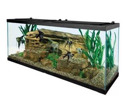 Aquarium 55 Gallons